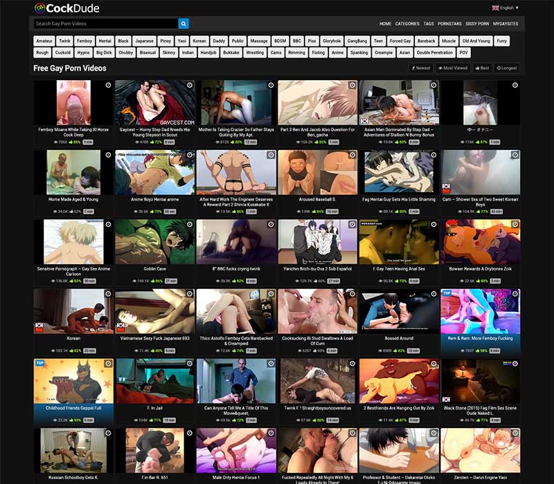 CockDude Porn Review