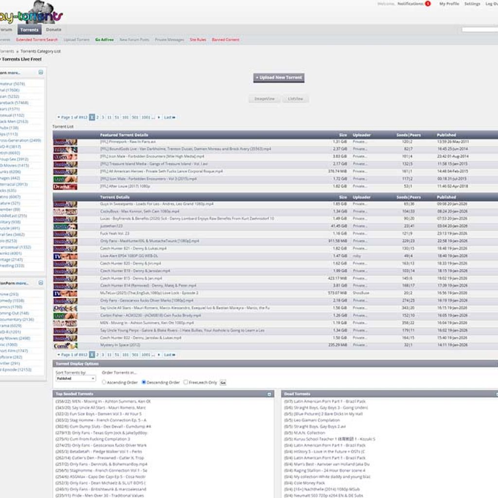 Gay-Torrents