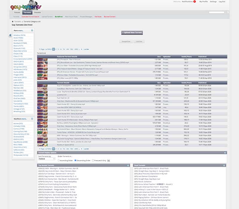 Gay Torrents Review